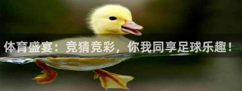 体育盛宴：竞猜竞彩，你我同享足球乐趣！