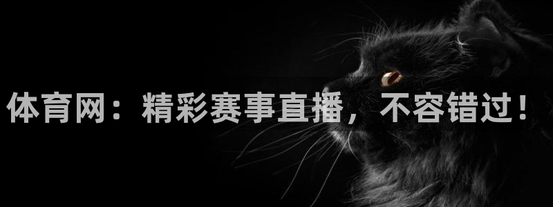 体育网：精彩赛事直播，不容错过！