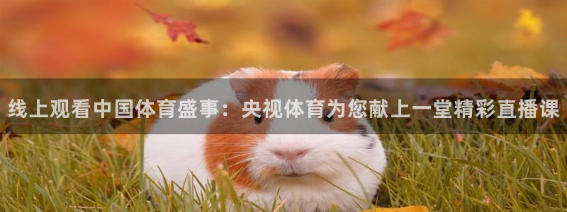 线上观看中国体育盛事：央视体育为您献上一堂精彩直播课