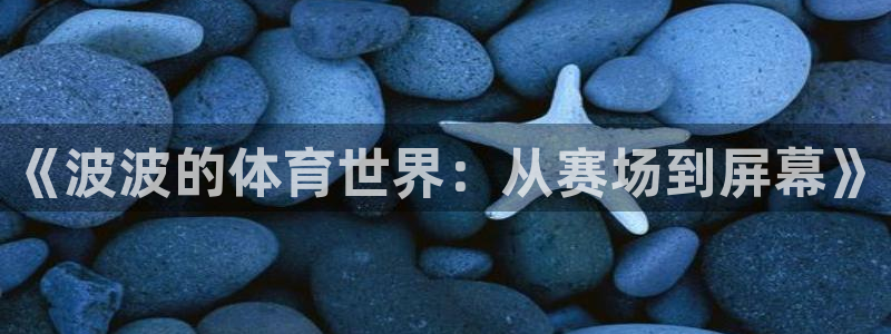 《波波的体育世界：从赛场到屏幕》