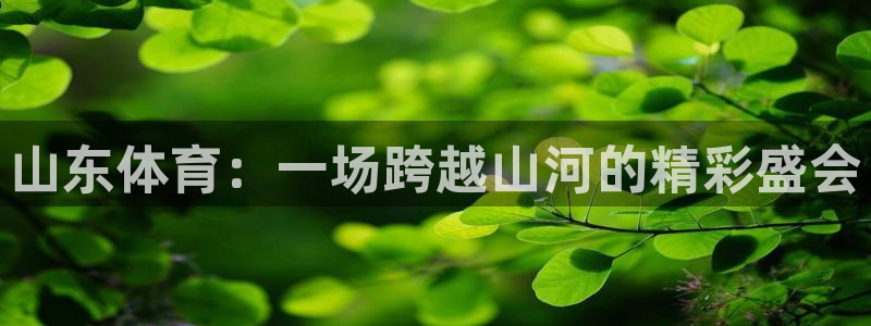 山东体育：一场跨越山河的精彩盛会