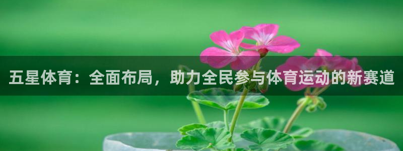 五星体育：全面布局，助力全民参与体育运动的新赛道